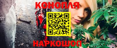 сатива Бузулук